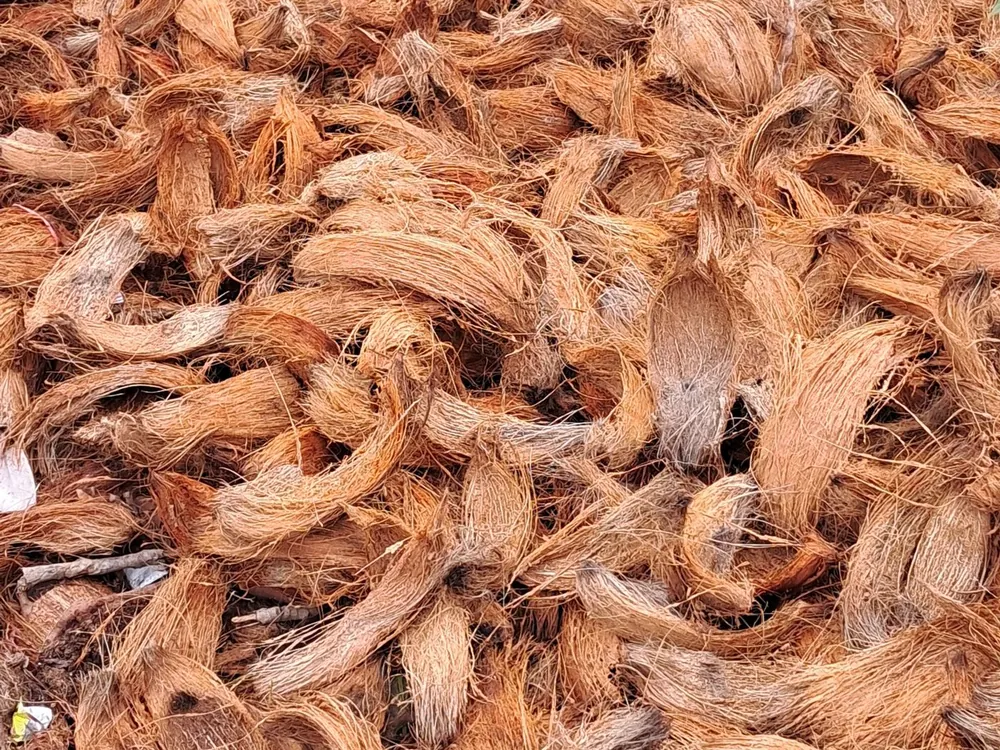 Softened, aged coconut husk pieces