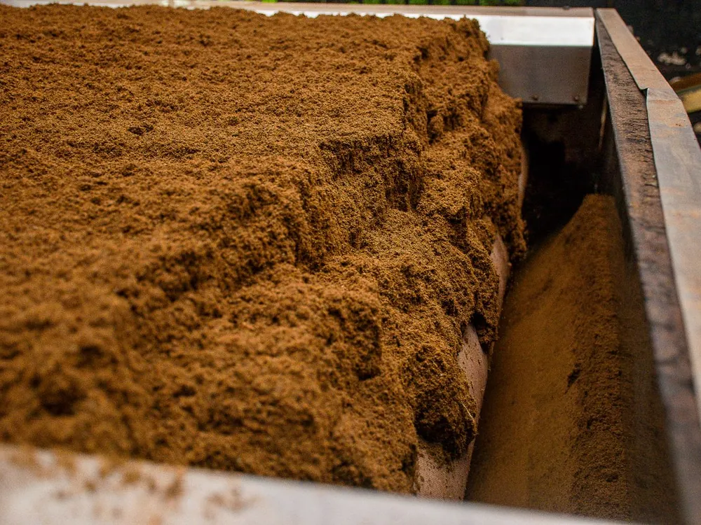 Washed coco peat moving along a processing line