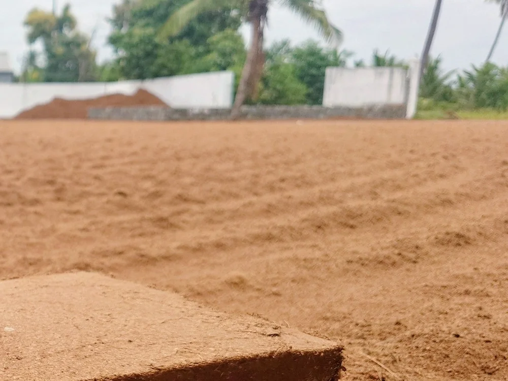 Coco peat spread across an open drying yard under the sun