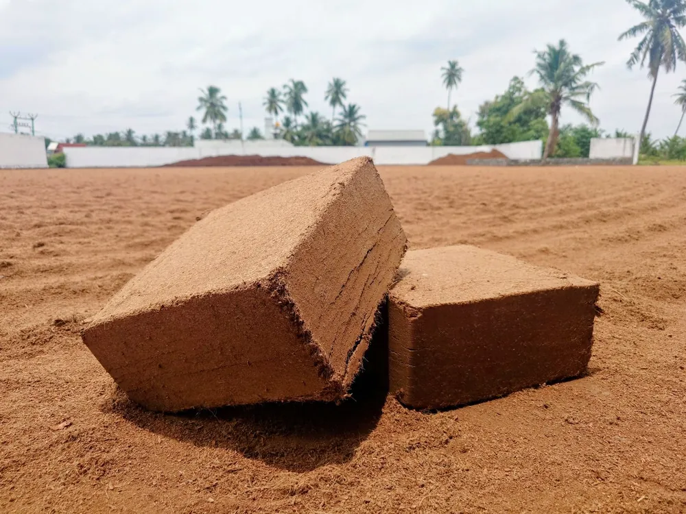 Compressed coco peat bricks on the drying yard